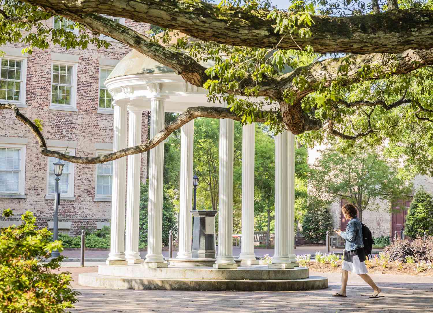 Educational Opportunities Educational Opportunities | Image of student walking on campus