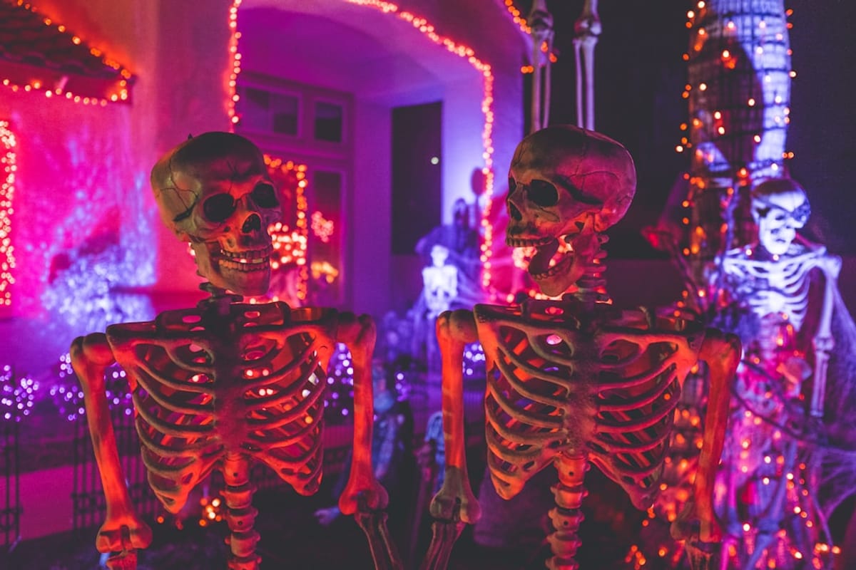 Luxury Apartment for Rent | Halloween skeleton décor lights