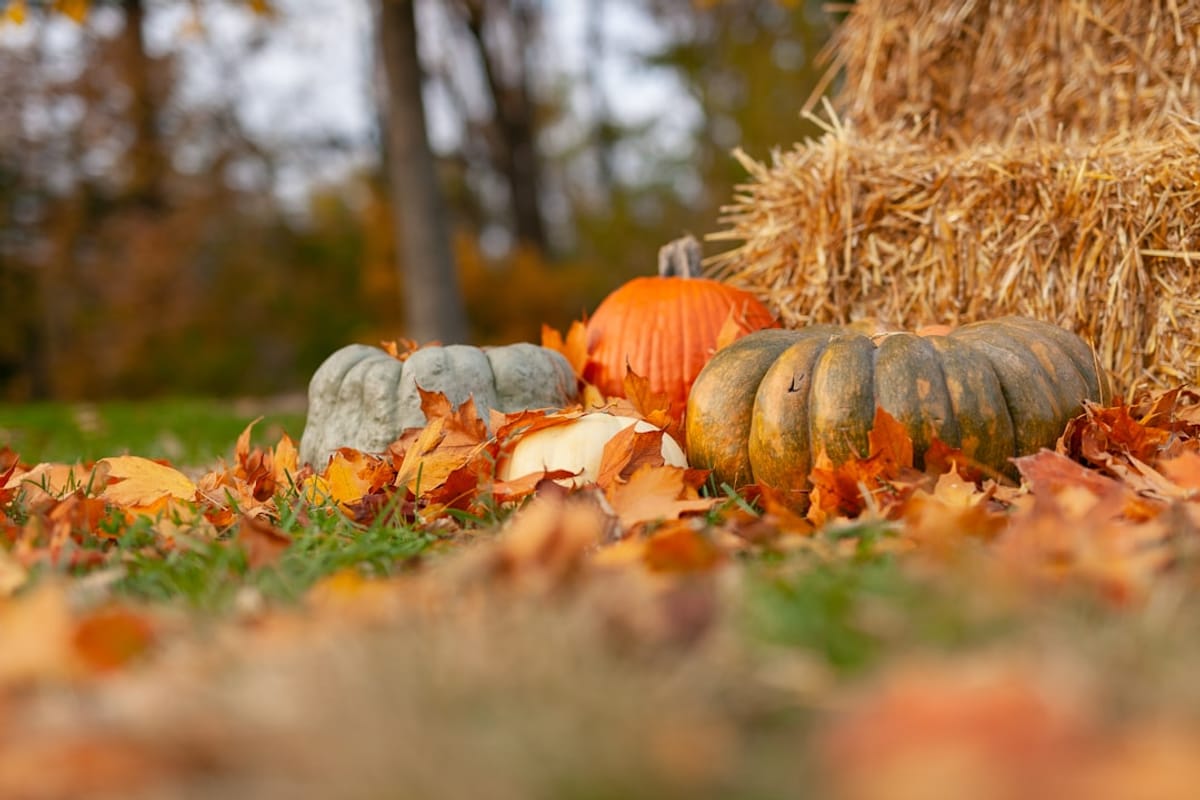 Luxury Apartment for Rent | Pumpkins and hay with fall leaves