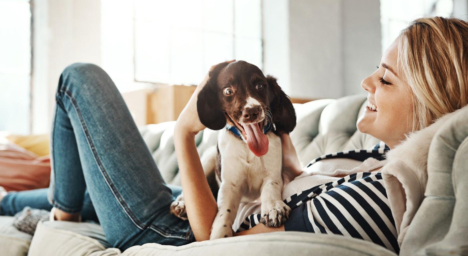 Pet Friendly Apartments | Atlas Blue Hill Pet Friendly Apartments | Image of Dog on couch with smiling woman