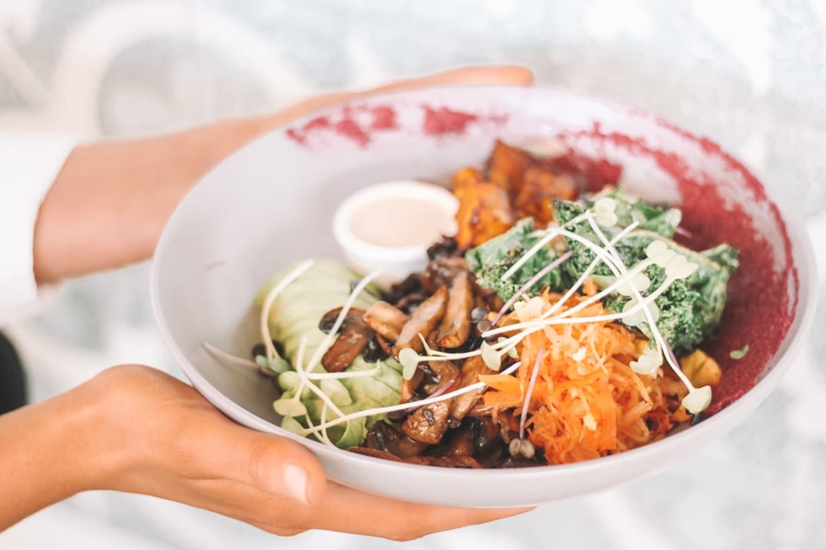 Plant-Based Dining Hotspots in Chapel Hill