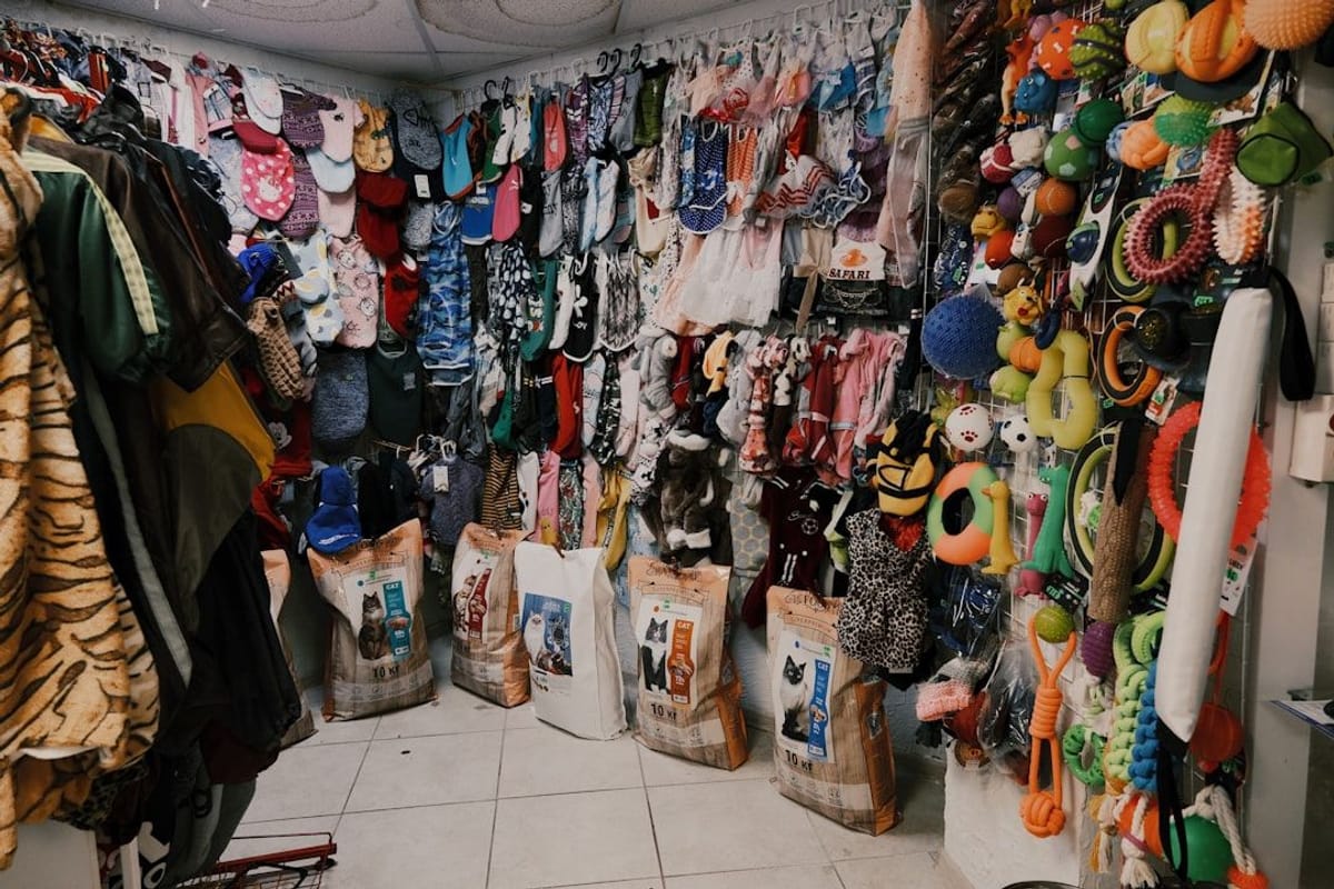 What Makes Atlas Blue Hill a Standout for Pets and Owners What Makes Atlas Blue Hill a Standout for Pets and Owners | Image of apartment closet full of pet related objects