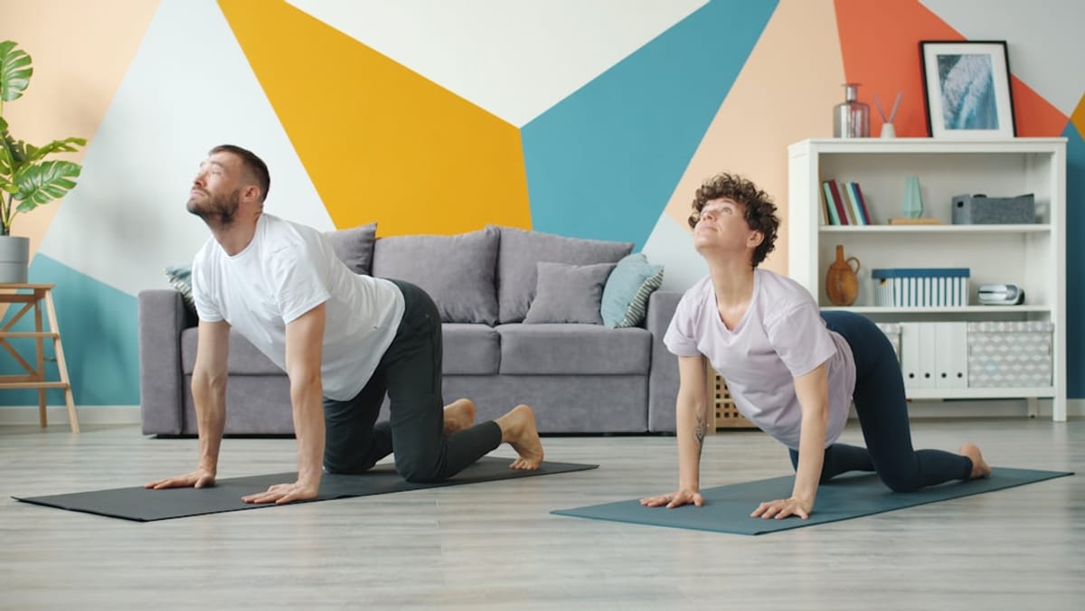 Wellness Through Movement