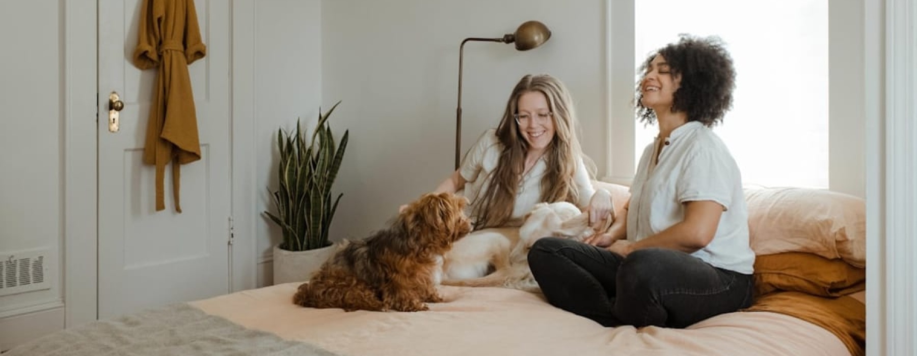 5 Ways to Pamper Your Pet in Chapel Hill, NC