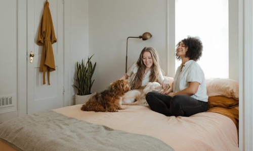 5 Ways to Pamper Your Pet in Chapel Hill