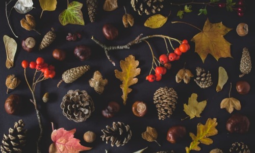 Autumn Decor Ideas for Atlas Blue Hill Apartments in Chapel Hill NC