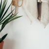 a plant near a wall