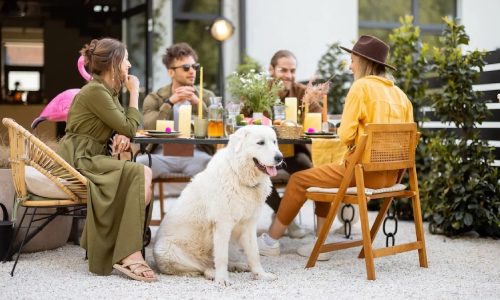 5 Ways to Pamper Your Pet | Image of Dog with Owners at Restaurant