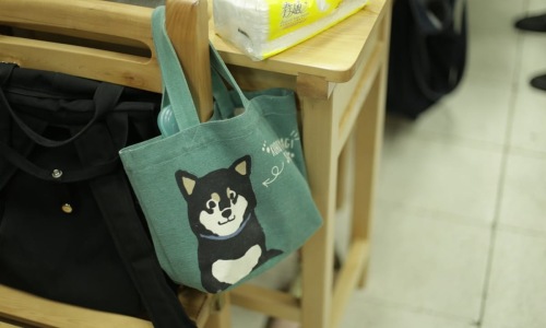  The Ultimate Guide to Pet-Friendly Living | Shopping Bag with Image of a cartoon dog on it