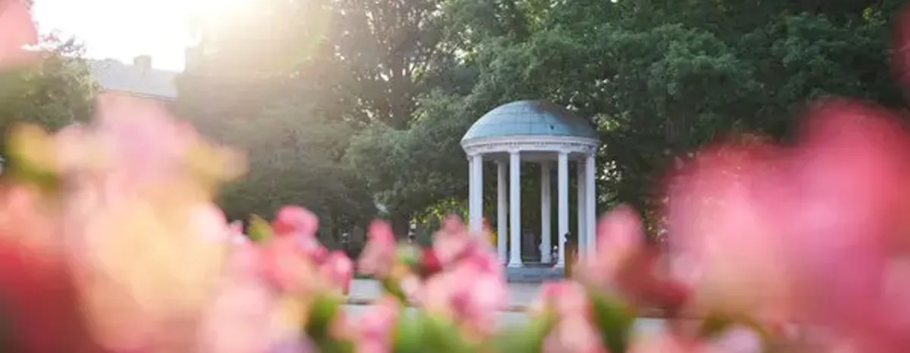 Top Tips to Stay Cool in Chapel Hill at Atlas Blue Hill Apartments
