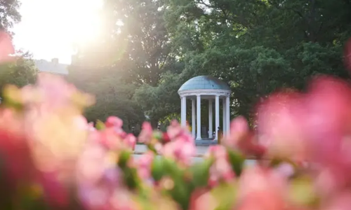 Top Tips to Stay Cool in Chapel Hill at Atlas Blue Hill Apartments