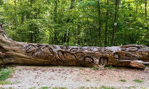 Your Guide to Living in Chapel Hill, NC – Best Parks Near Atlas Blue Hill